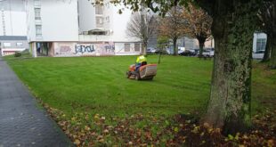 Mantenimiento de zona verde | Concello de Ferrol